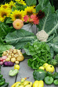 Photo of an assortment of vegetables and flowers from a garden
