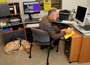 Man Using Computer, dog guide at his feet
