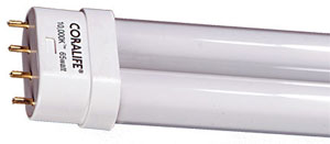 picture of fluorescent lamp bulb showing plug ins