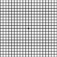 Amsler Grid Test