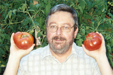 Tom holding up two Brandywine Tomatoes