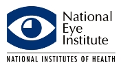 the NEI logo