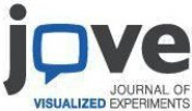 Logo of the Journal of Visualized Experiments