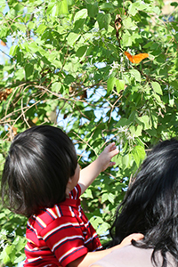 a mother holding up her child to touch the branches of a tree