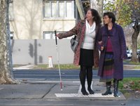 A helpful pedestrian assists in crossing the street