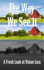 book cover of The Way We See It