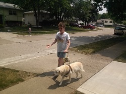 mary walking with dog guide