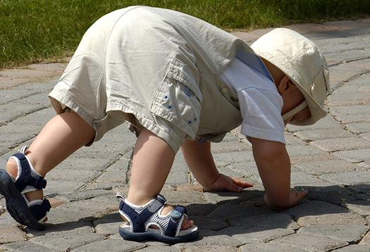 baby crawling along a stone path