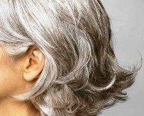profile of a person with gray hair