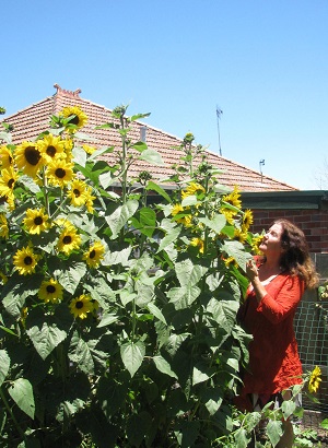 Maribel standing next to large sunflower