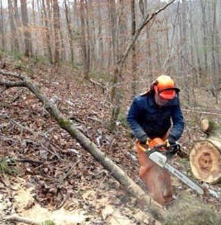 Jim cutting wood wearing helmet and ear protectors