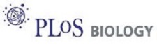 The PLoS Biology logo