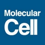 Molecular Cell logo