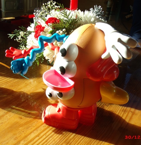 Mr Potato Head oddly put together