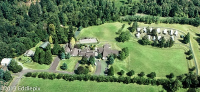 aerial view of Hull Park showing buildings surrounded by woods copyright EddiePix2013