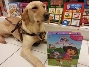 Mary Hiland's guide dog Dora lying in the floor in front of a bookshelf with a book between her paws