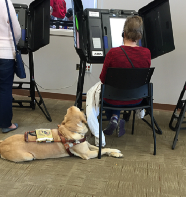 mary sitting at accessible voting machine with dog on floor behind her