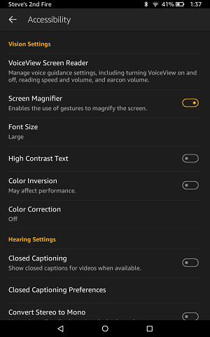 screenshot of kindle accessibility screen