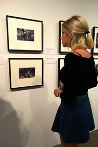 Woman looking at art hanging on the wall at an art gallery