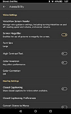 screen shot of kindle accessibility screen