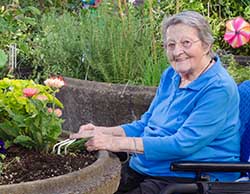 A woman in a wheelchair outside working in a raised garden