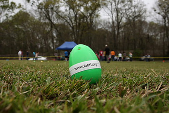 Beeping Easter Egg in an empty field