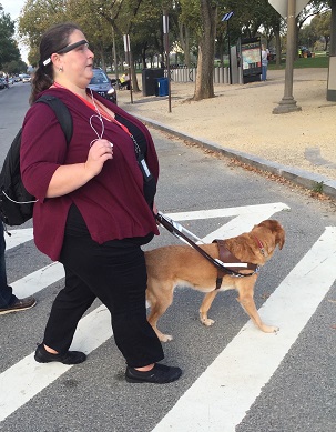 woman using guide dog walking across street and wearing aira glasses