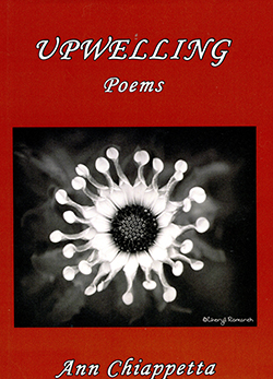 Book cover of Upwelling by Ann Chiappetta with a black and white image of a blue daisy captured by Cheryl Romanek on a red background