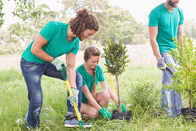 Three teens planting trees outside for the community garden