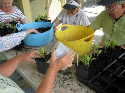 boothbay support group sitting around table potting plants