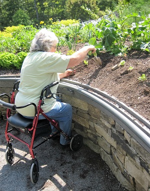 woman in wheelchair planting 