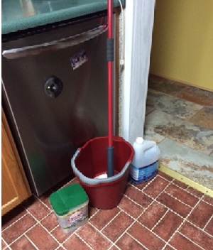 dashwasher with mop bucket with mop and dishwashing detergent and dish washer detergent