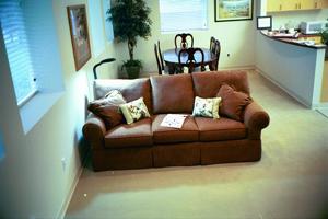 brown couch with cream pillows