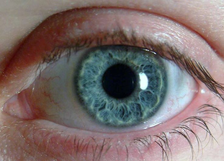 Close-up photo of a human eye with a blue-green iris